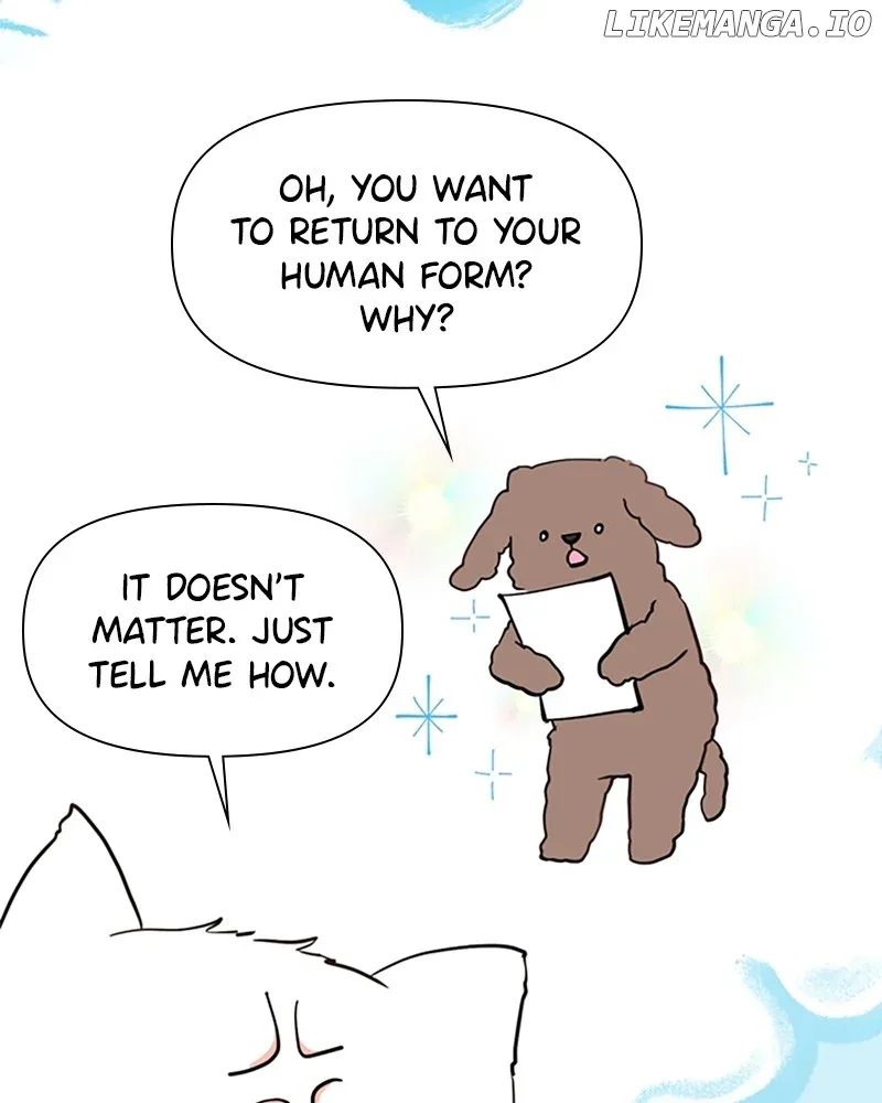 How to Hold X’s Leash Chapter 3 page 21