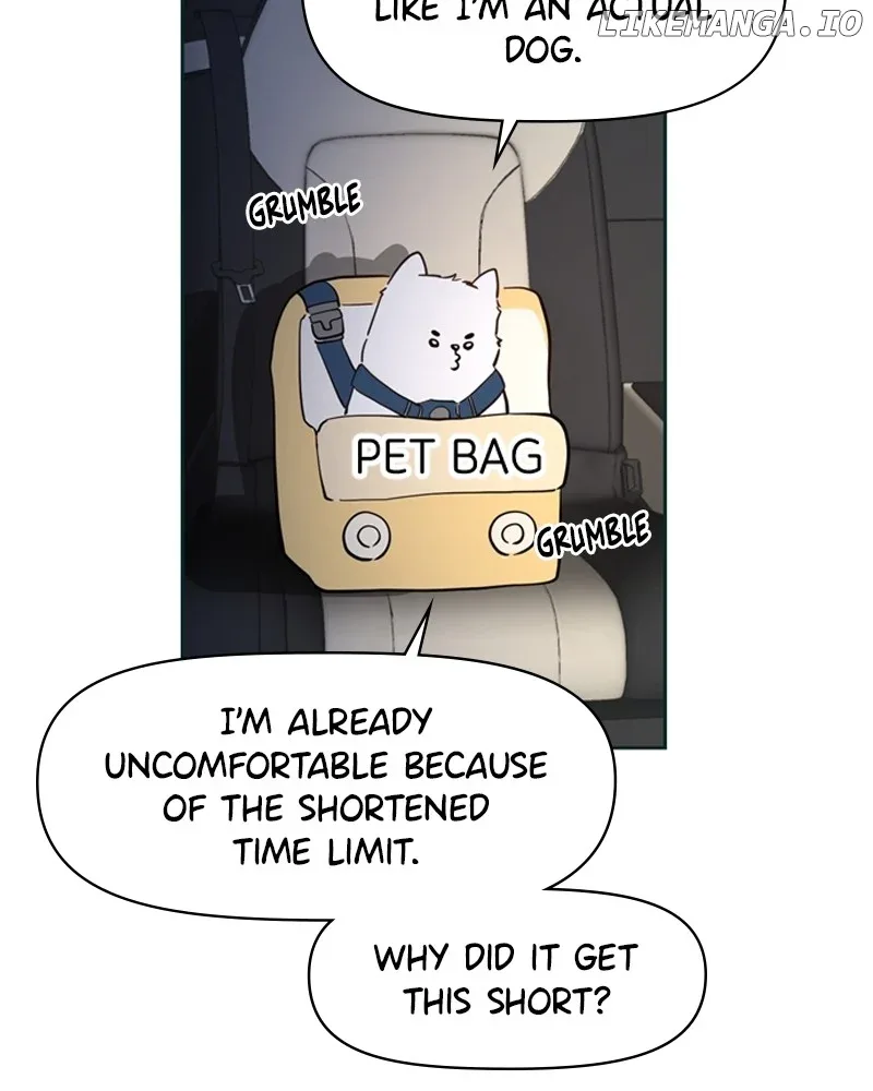 How to Hold X’s Leash Chapter 8 page 42