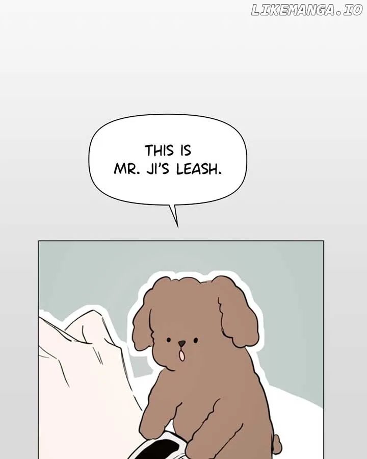 How to Hold X’s Leash Chapter 36 page 12