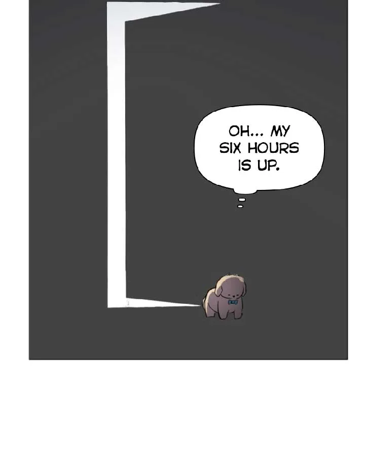 How to Hold X’s Leash Chapter 37 page 104