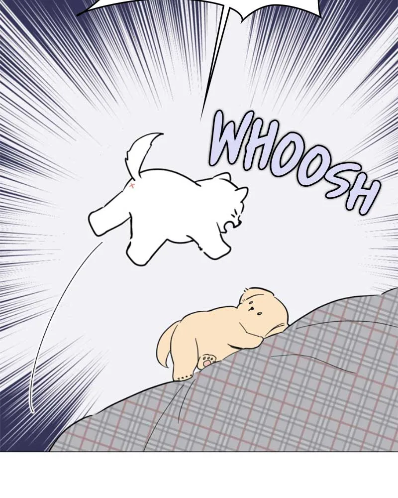 How to Hold X’s Leash Chapter 38 page 94