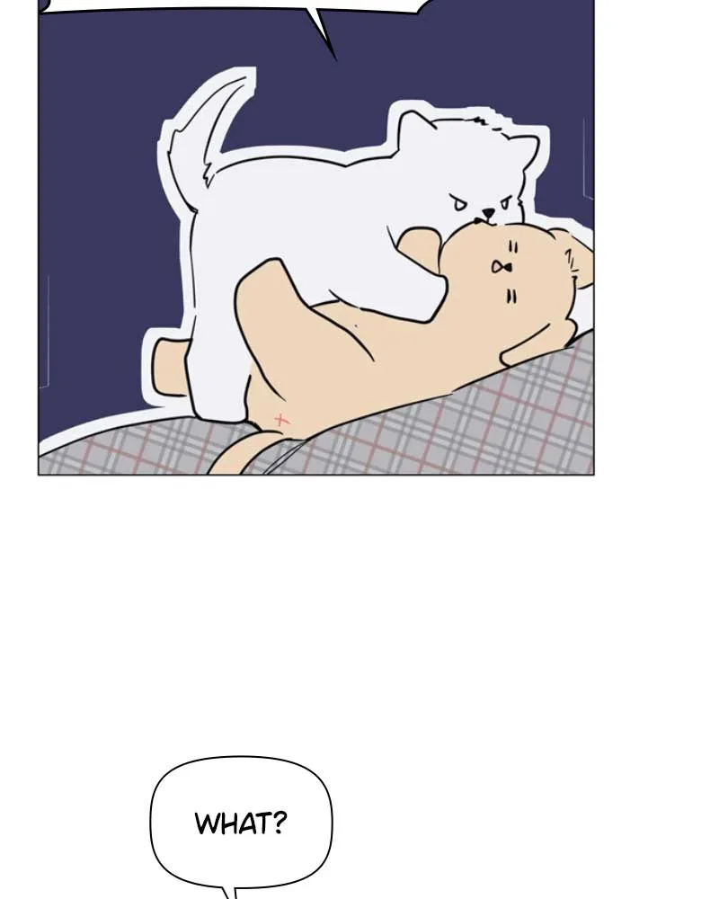 How to Hold X’s Leash Chapter 38 page 97