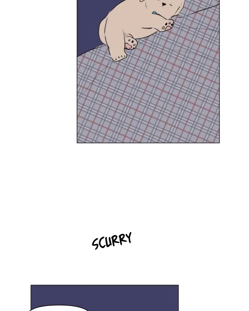 How to Hold X’s Leash Chapter 38 page 87