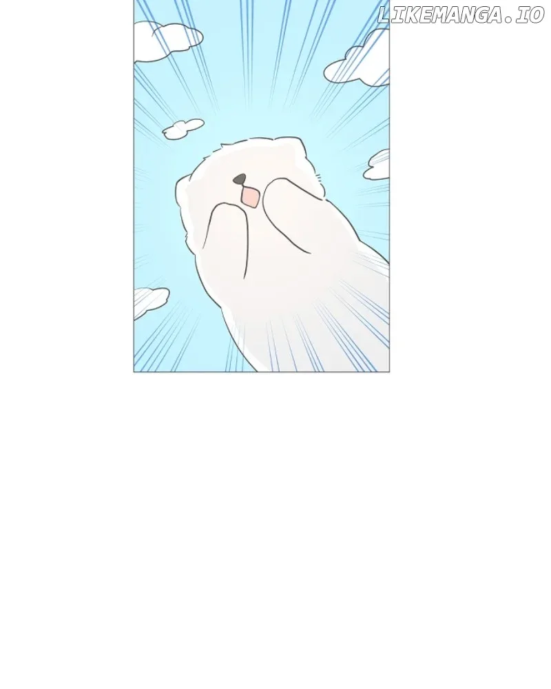 How to Hold X’s Leash Chapter 43 page 49