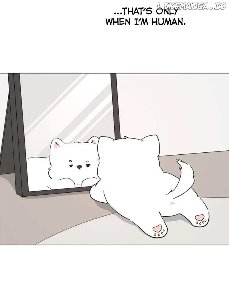 How to Hold X’s Leash Chapter 43 page 55