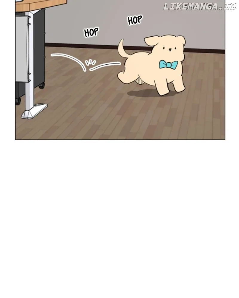 How to Hold X’s Leash Chapter 43 page 74