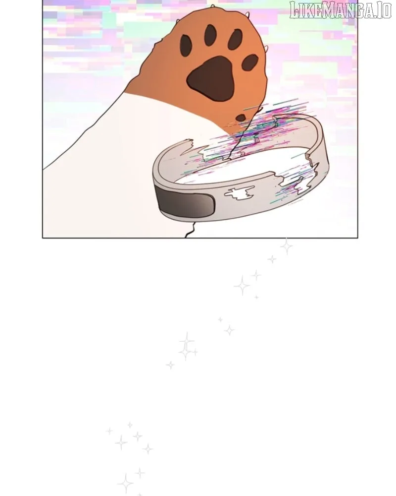 How to Hold X’s Leash Chapter 65 page 16