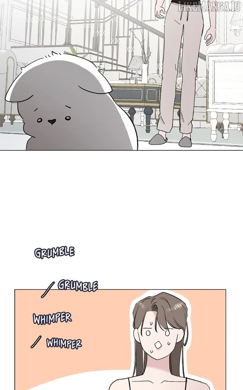 How to Hold X’s Leash Chapter 70 page 14