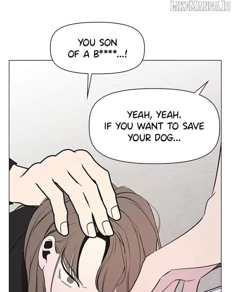 How to Hold X’s Leash Chapter 71 page 13