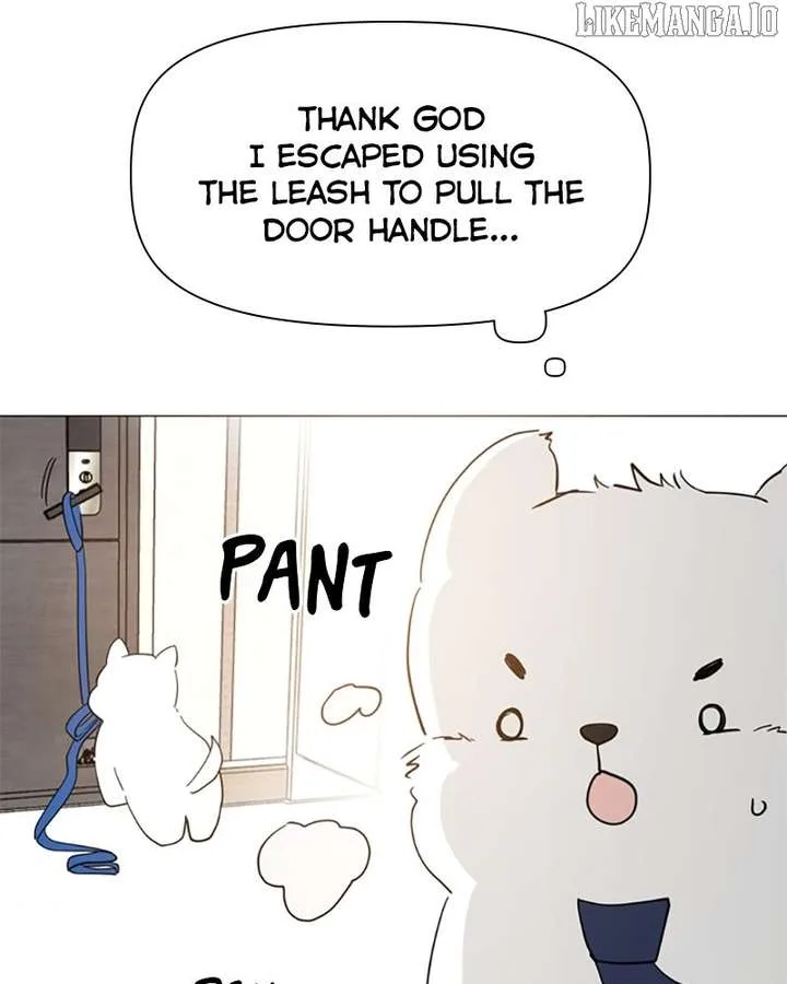 How to Hold X’s Leash Chapter 73 page 18