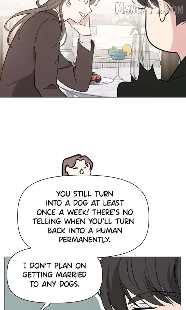 How to Hold X’s Leash Chapter 77 page 15