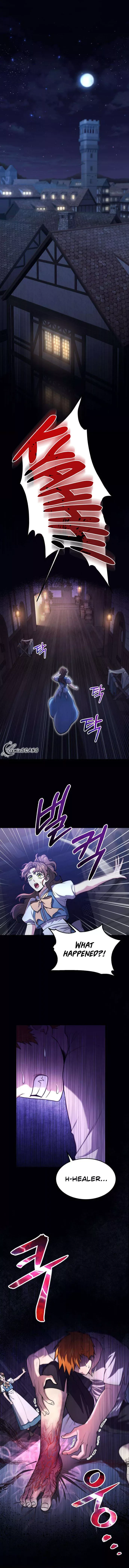 How to Live as an Illegal Healer Chapter 1 page 3