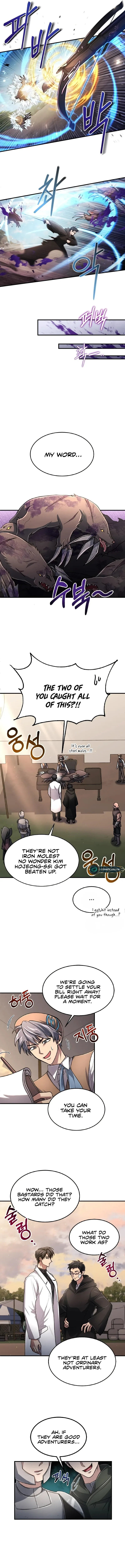 How to Live as an Illegal Healer Chapter 15 page 11