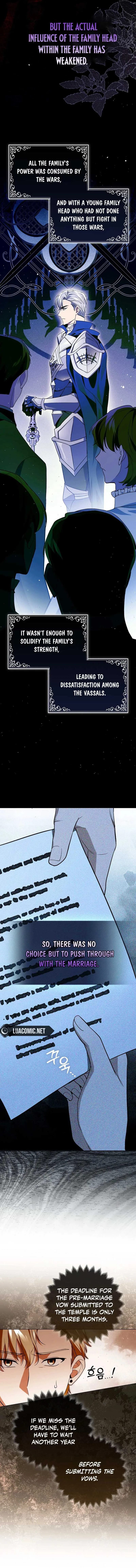 How to Perfectly End a Contract Marriage Chapter 6 page 10