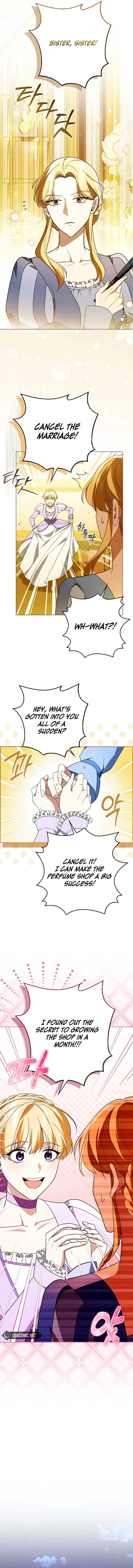 How to Perfectly End a Contract Marriage Chapter 5 page 12
