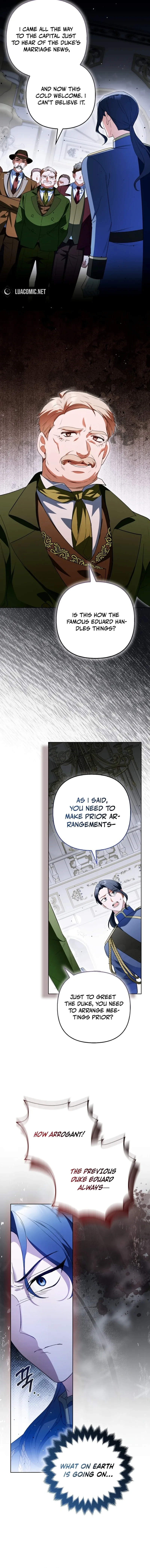 How to Perfectly End a Contract Marriage Chapter 23 page 12