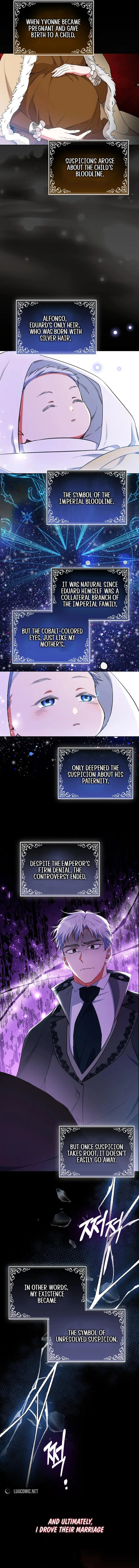How to Perfectly End a Contract Marriage Chapter 36 page 4