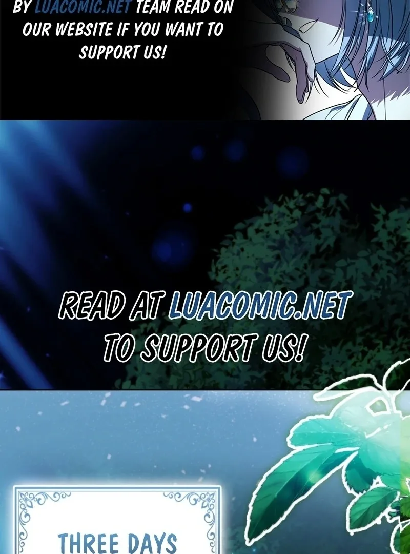 How to Perfectly End a Contract Marriage Chapter 47 page 3