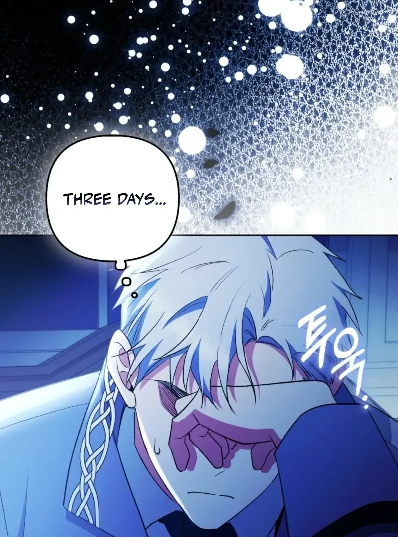 How to Perfectly End a Contract Marriage Chapter 47 page 12