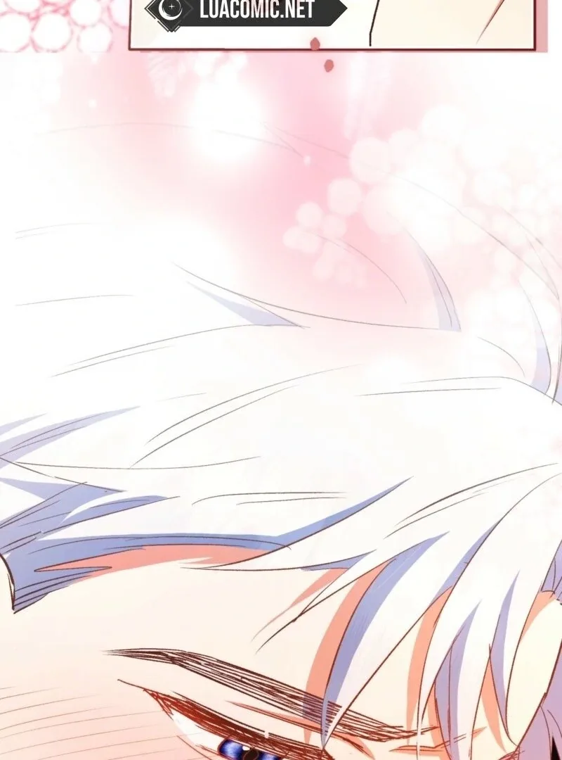 How to Perfectly End a Contract Marriage Chapter 53 page 114