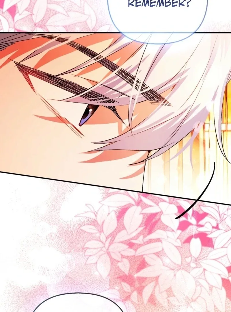 How to Perfectly End a Contract Marriage Chapter 62 page 47