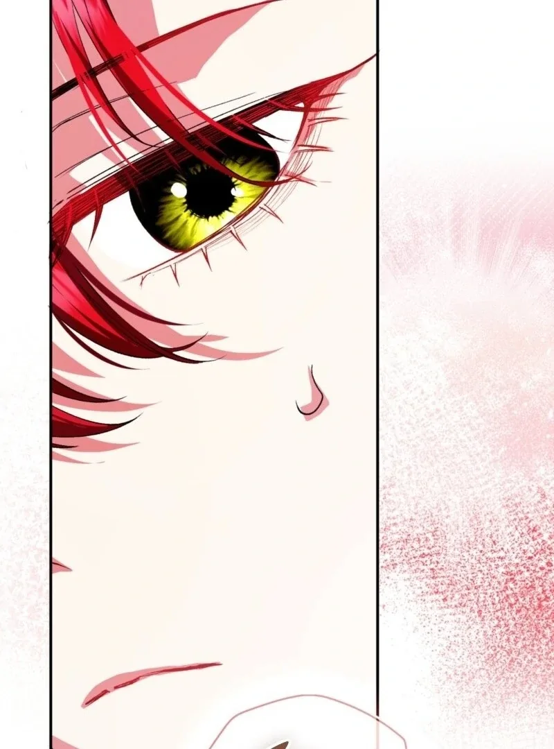 How to Perfectly End a Contract Marriage Chapter 62 page 102