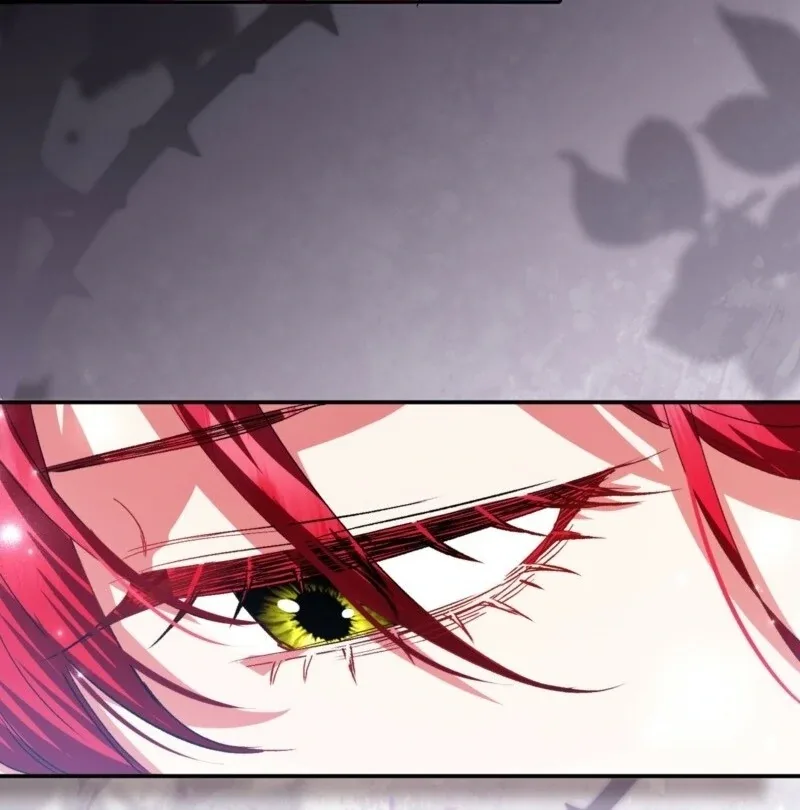 How to Perfectly End a Contract Marriage Chapter 62 page 117