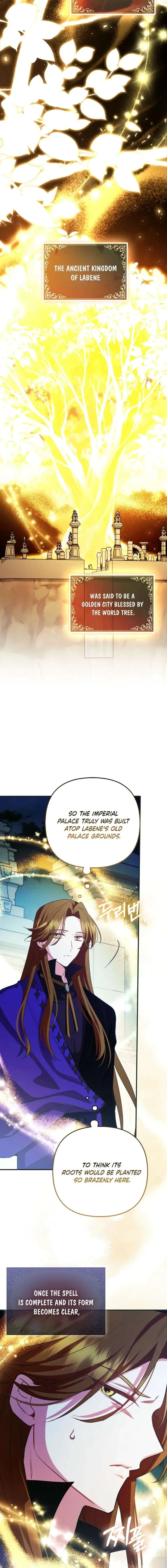 How to Perfectly End a Contract Marriage Chapter 72 page 13