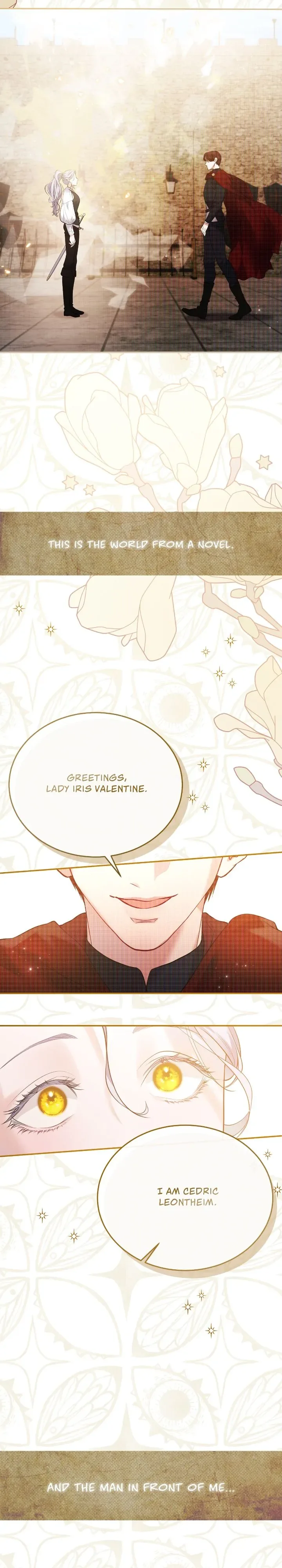 How to Protect My Male Lead Chapter 1 page 29