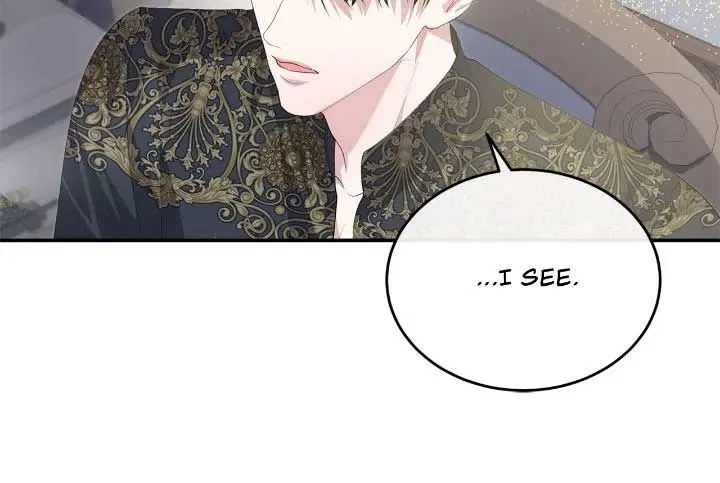 How to Protect My Male Lead Chapter 13 page 27