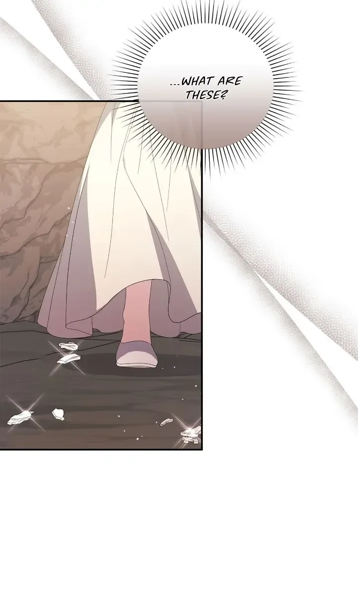 How to Protect My Male Lead Chapter 43 page 44