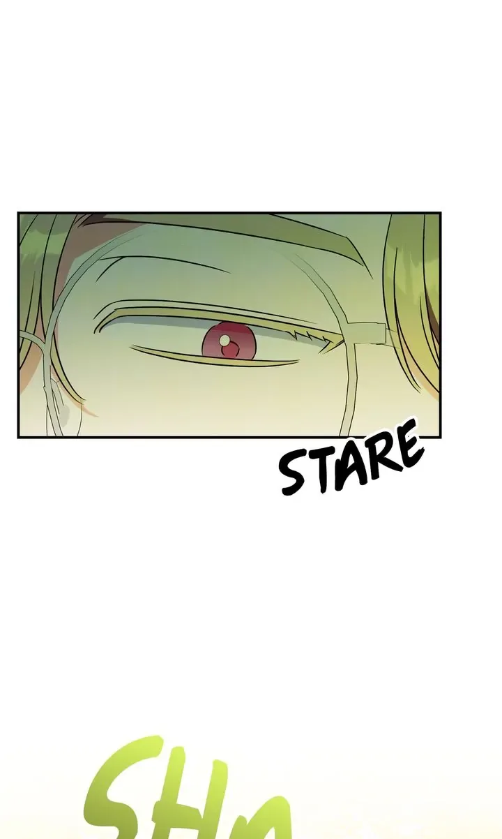 How to Protect the Master of the Monster Mansion Chapter 20 page 27