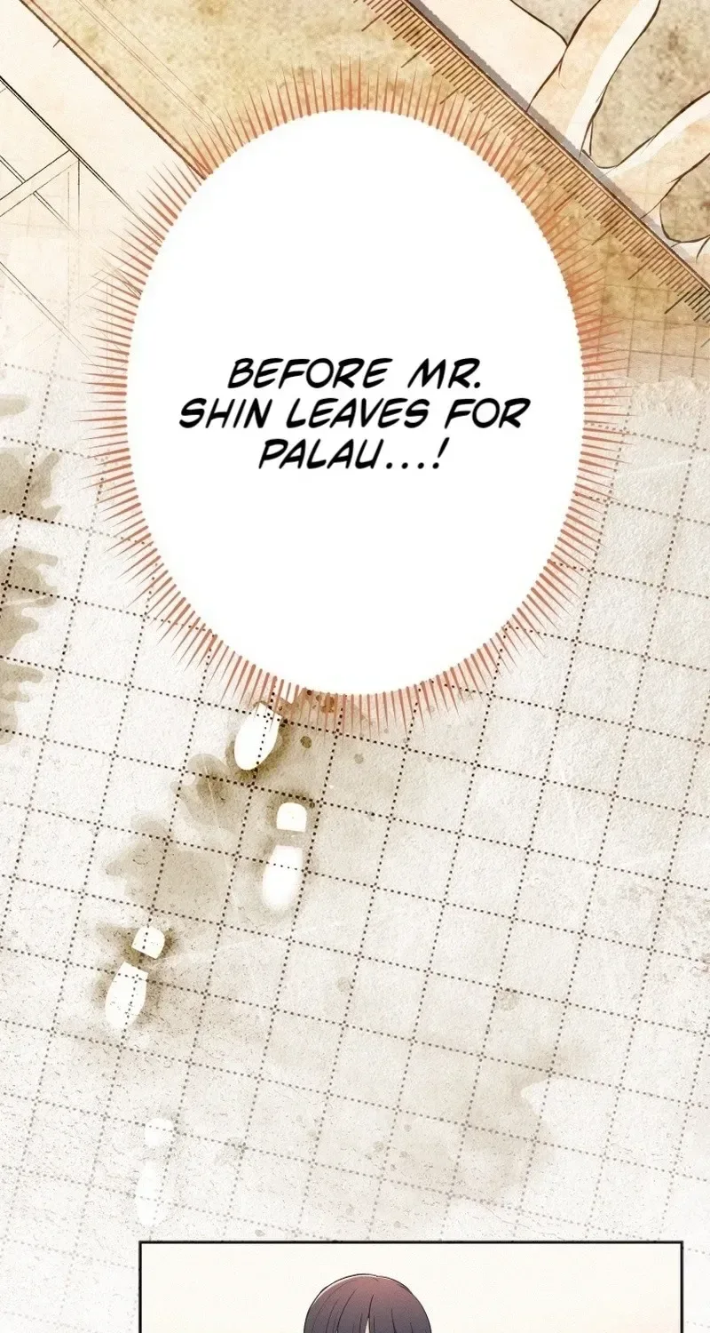 How to Start a Fated Love Chapter 22 page 65