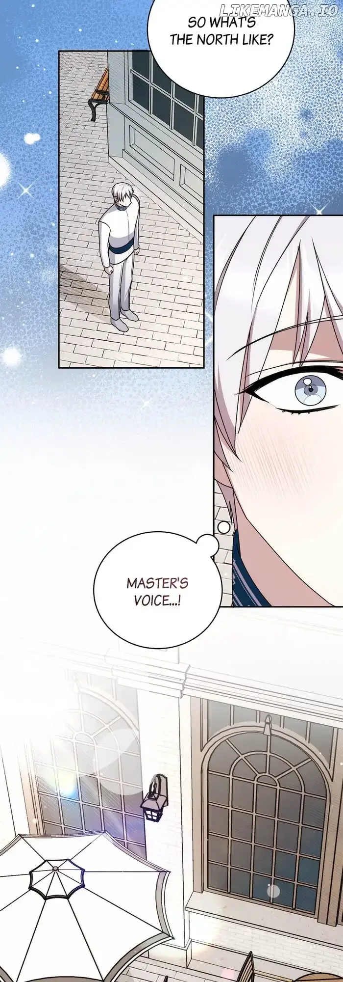 How to Tame the Merciless Villain Chapter 25 page 13