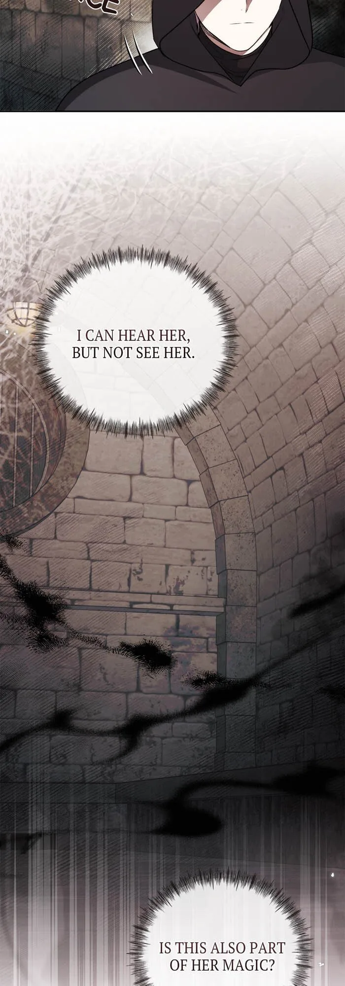 How to Tame the Merciless Villain Chapter 46 page 49