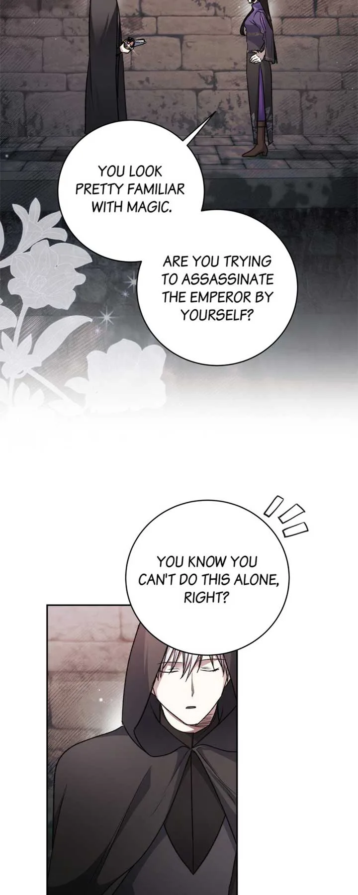 How to Tame the Merciless Villain Chapter 47 page 14
