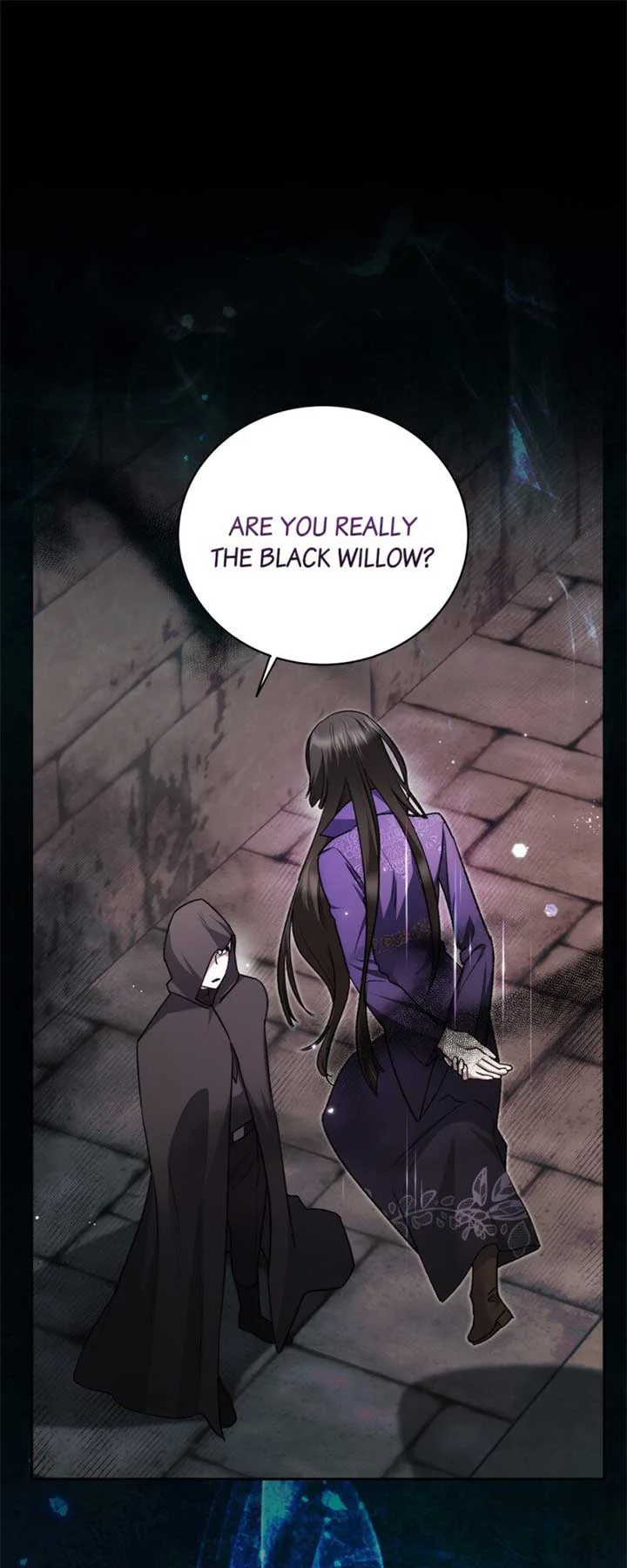 How to Tame the Merciless Villain Chapter 47 page 2