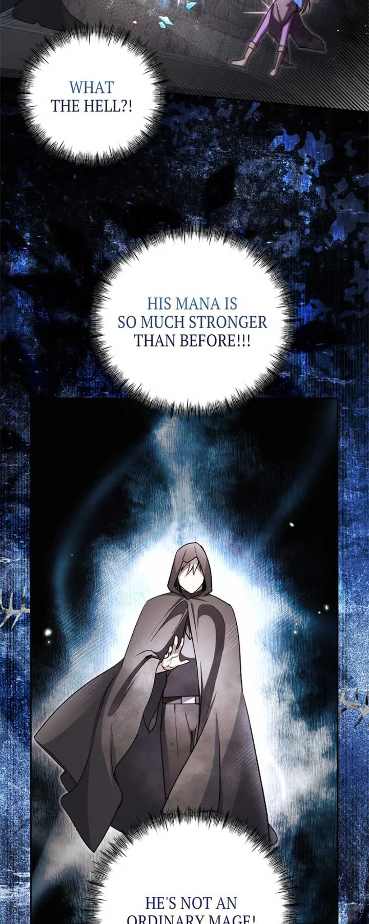 How to Tame the Merciless Villain Chapter 47 page 30