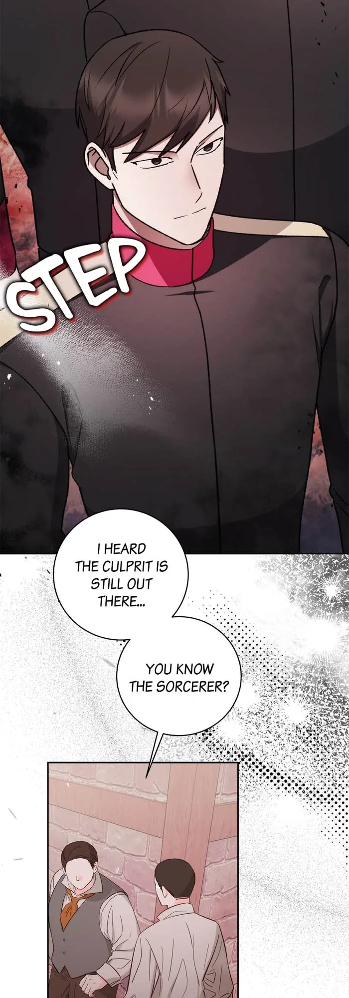 How to Tame the Merciless Villain Chapter 62 page 3