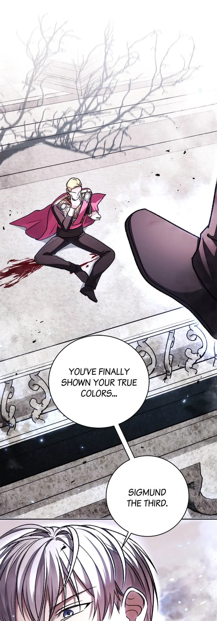 How to Tame the Merciless Villain Chapter 64 page 28