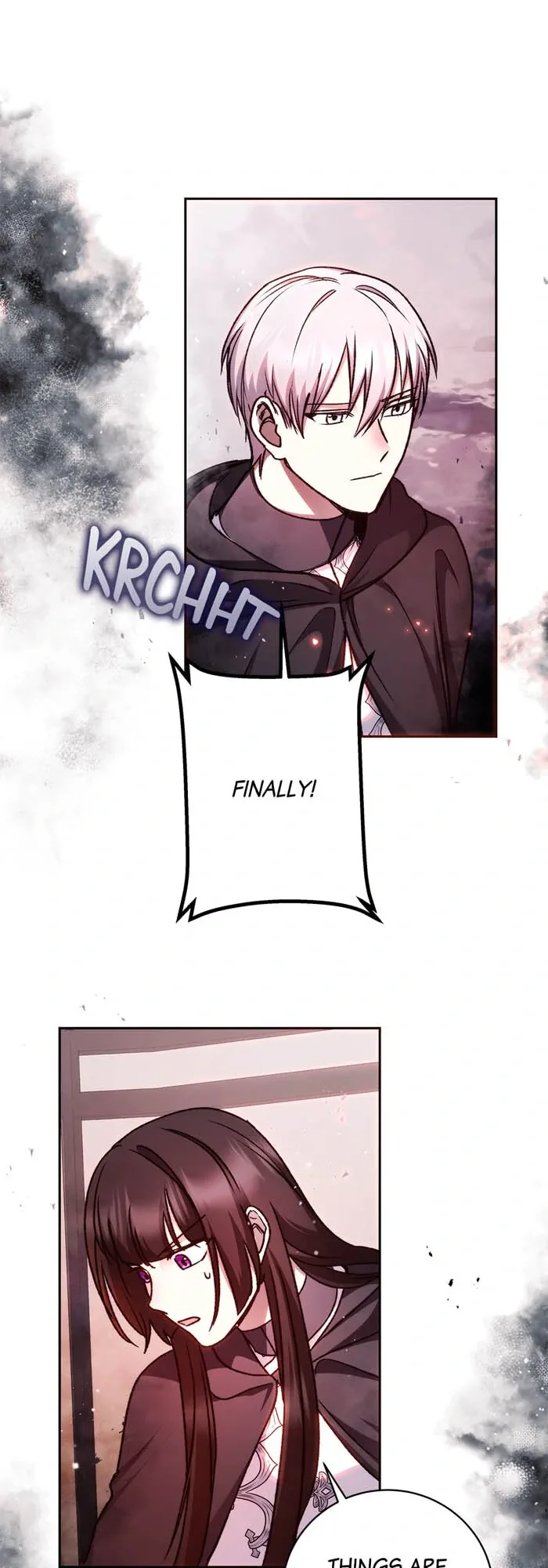 How to Tame the Merciless Villain Chapter 67 page 7