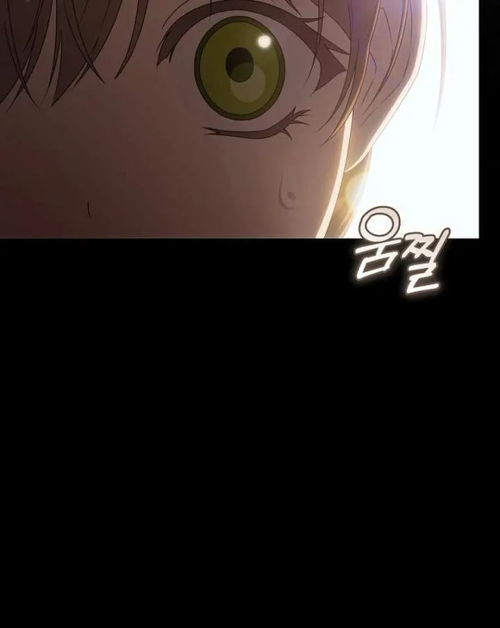 How to Walk the Protagonist’s Path to Glory Chapter 20 page 27