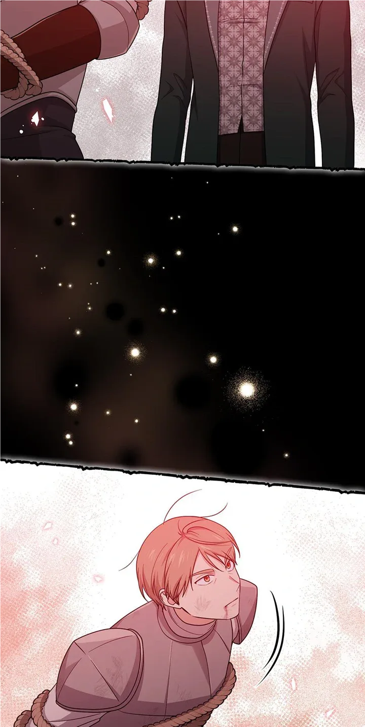 I Acted As the Adopted Daughter Too Well Chapter 42 page 49