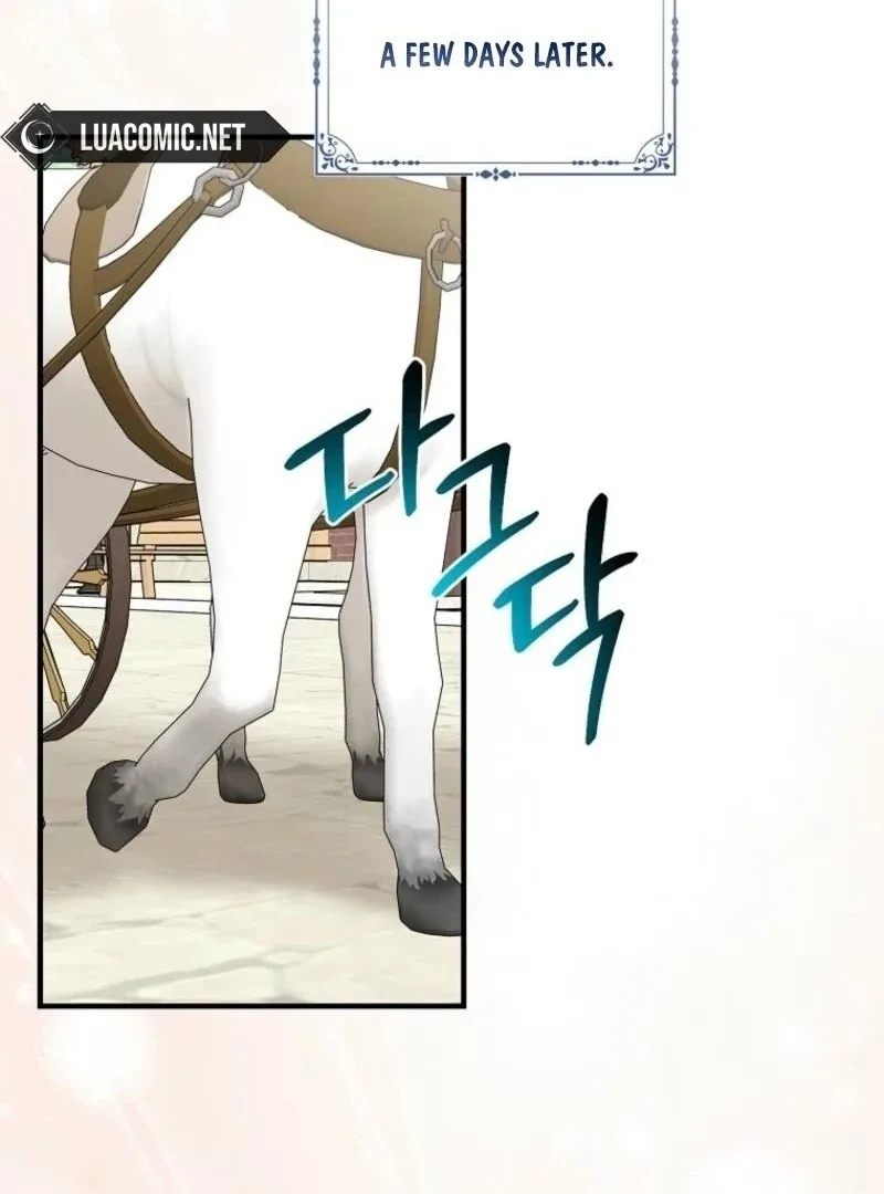 I Acted As the Adopted Daughter Too Well Chapter 97 page 49