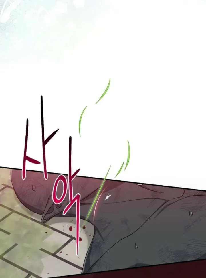 I Acted As the Adopted Daughter Too Well Chapter 112 page 93
