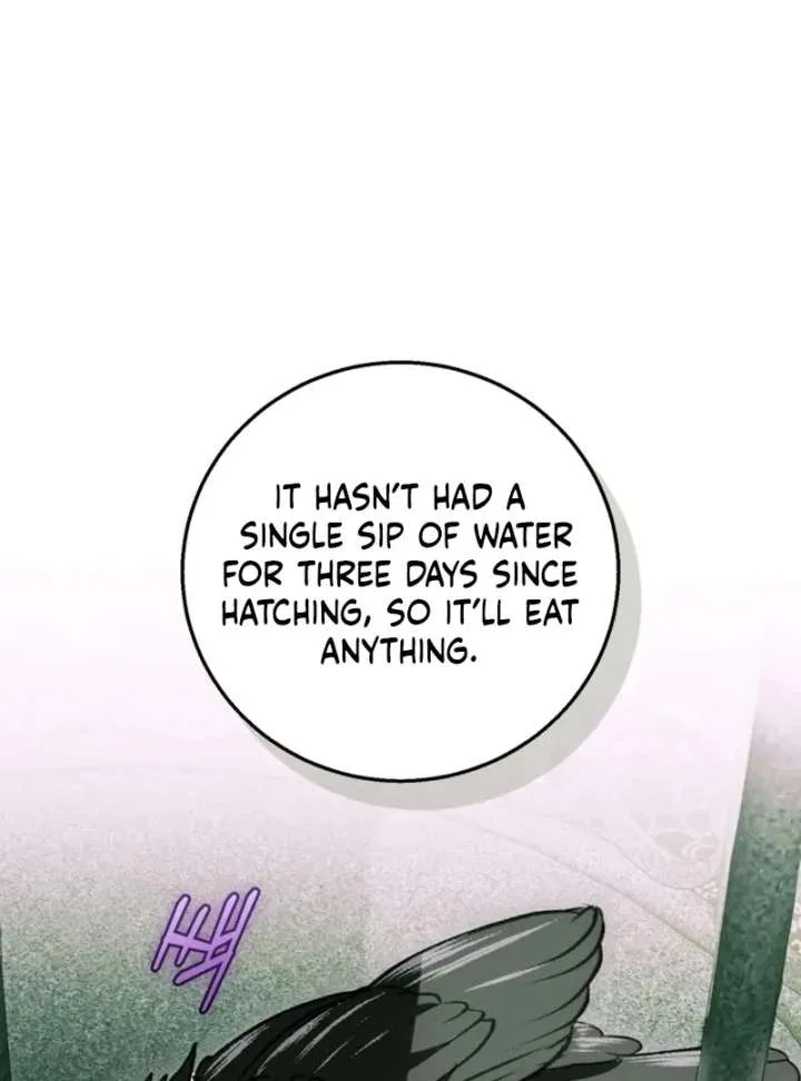 I Adopted the Protagonist, and the Genre Changed Chapter 26 page 71