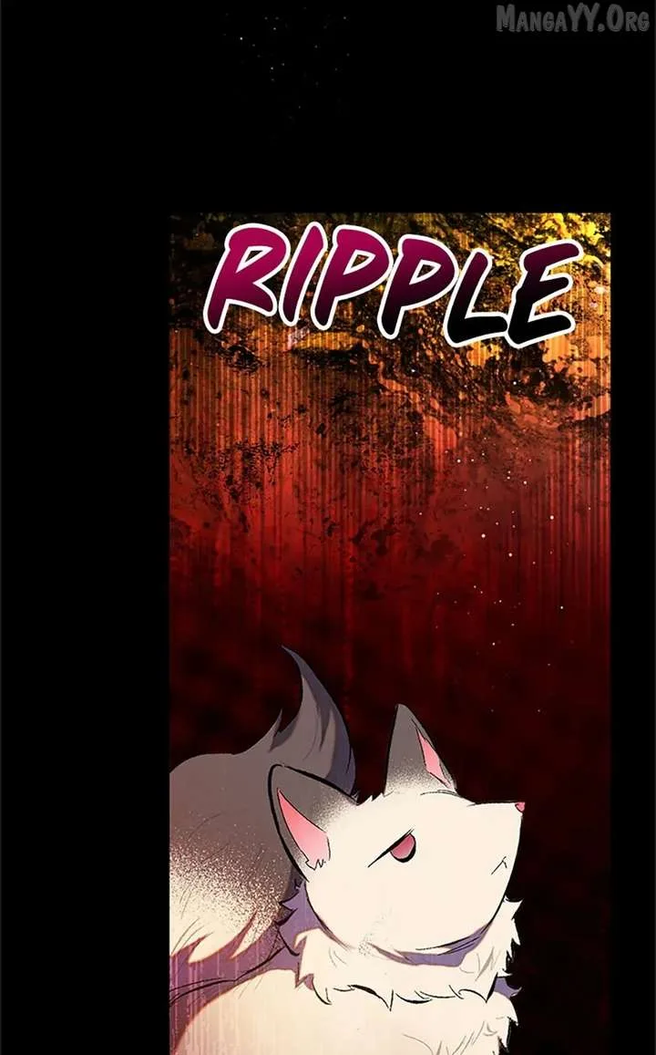 I Am A Daughter Loved By The Devil Chapter 114 page 11