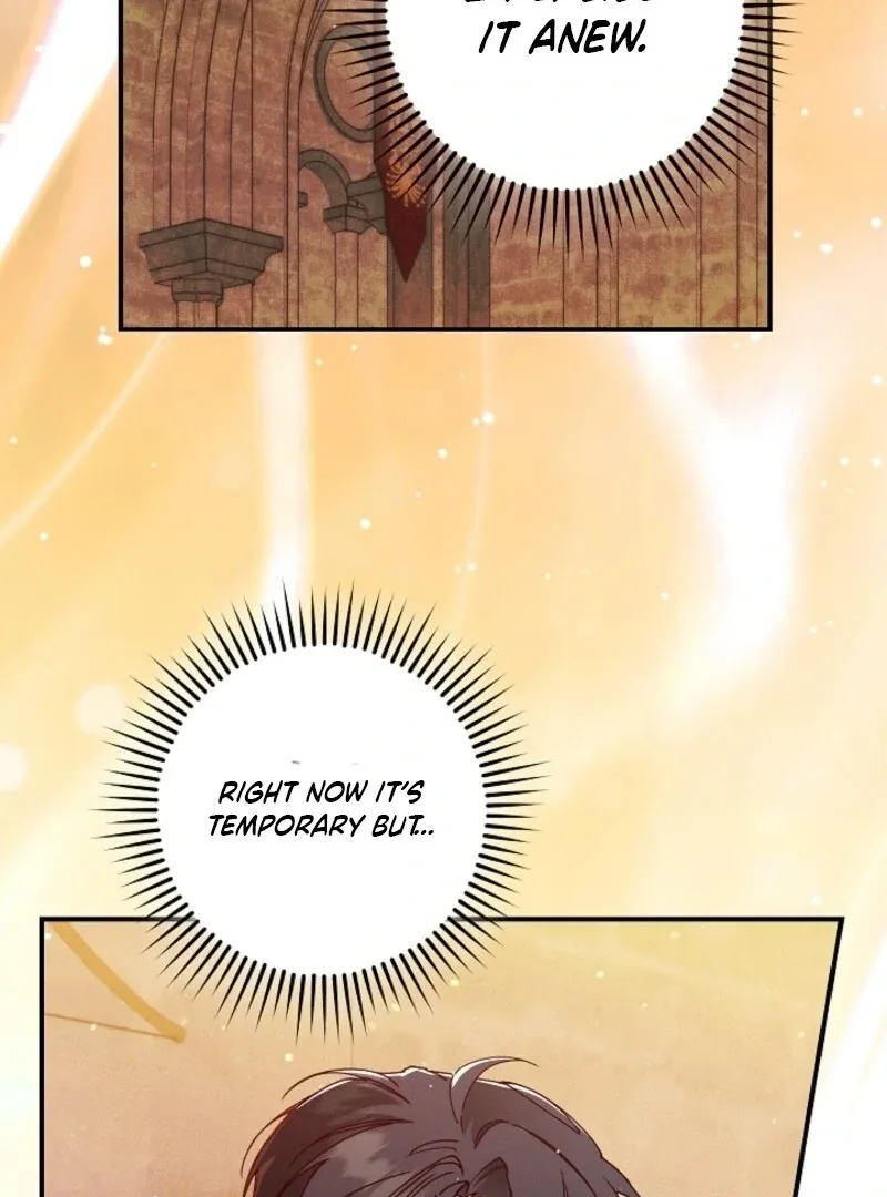 I Am Living an Unmarried Life With a Terminally Ill Lover Chapter 63 page 65