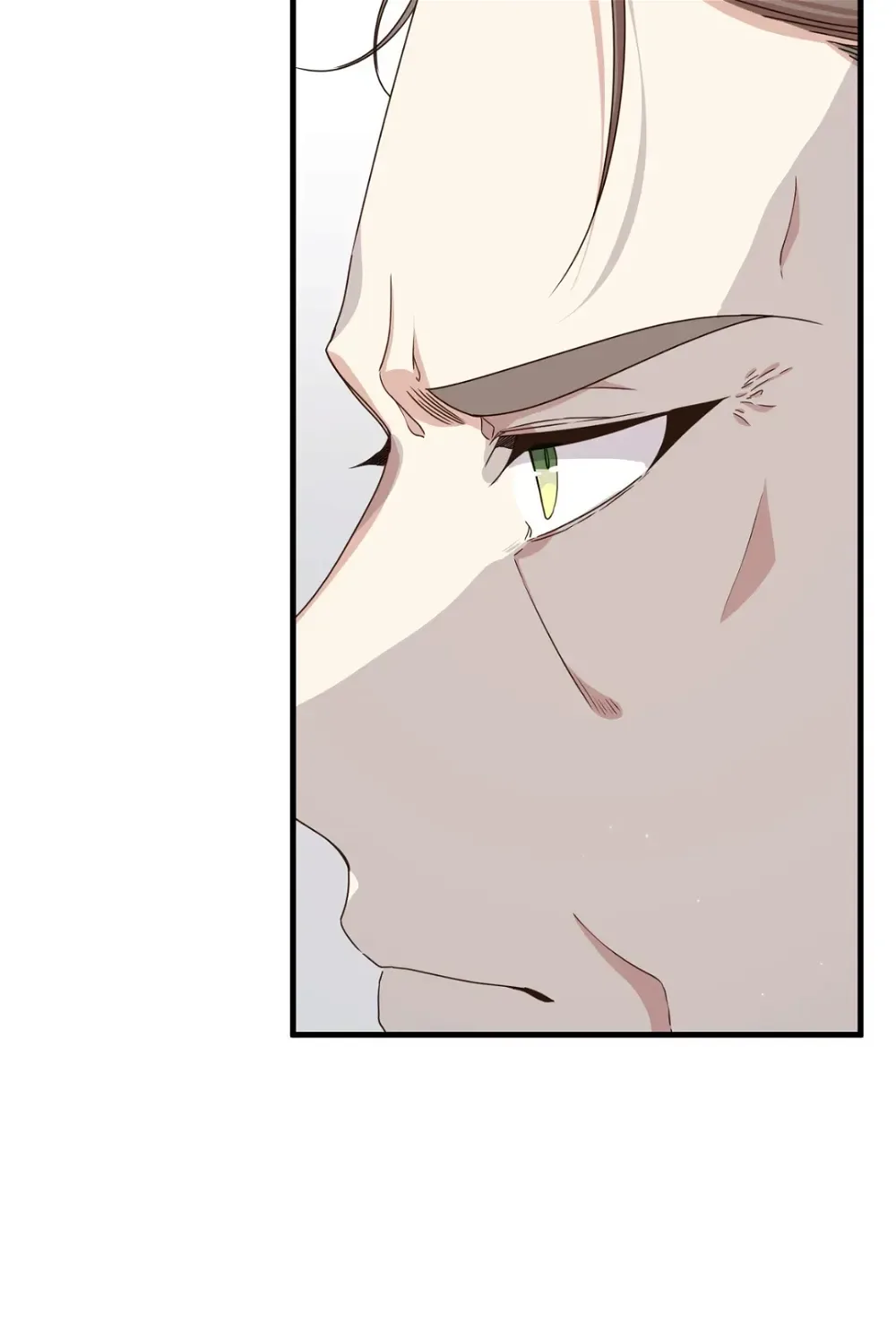 I am the Older Sister of the Possessed Female Lead Chapter 39 page 13