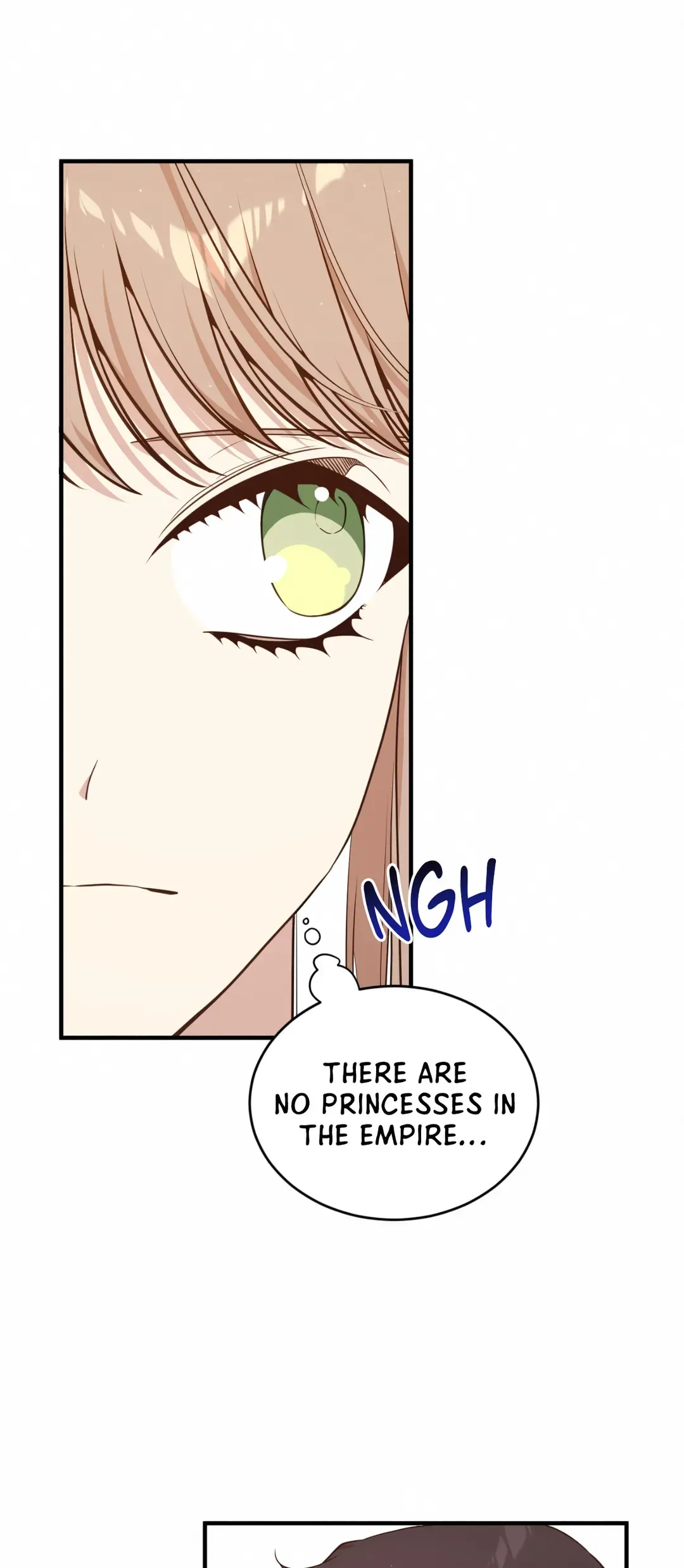 I am the Older Sister of the Possessed Female Lead Chapter 70 page 4
